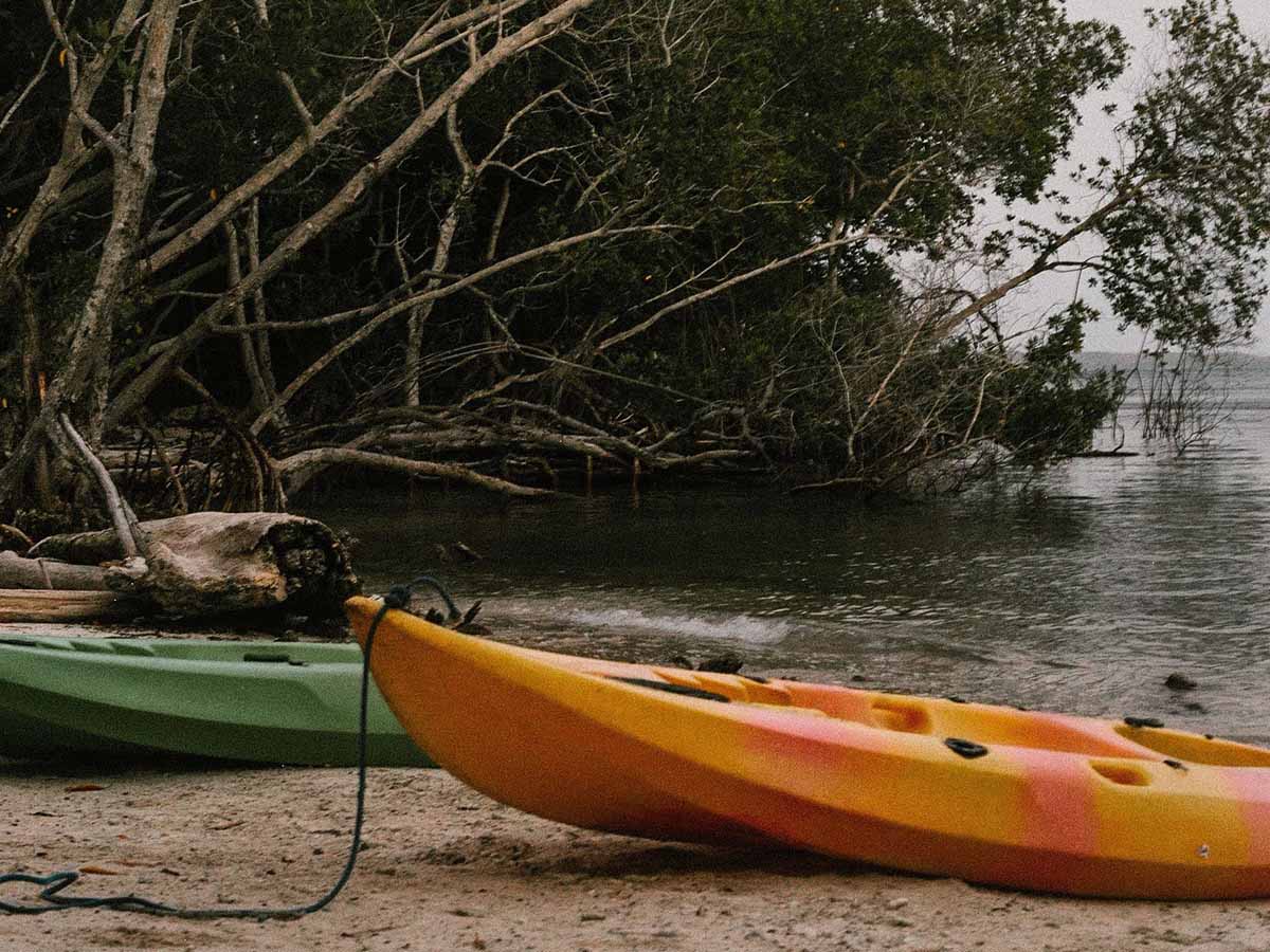 Kayak dans la mangrove, Martinique