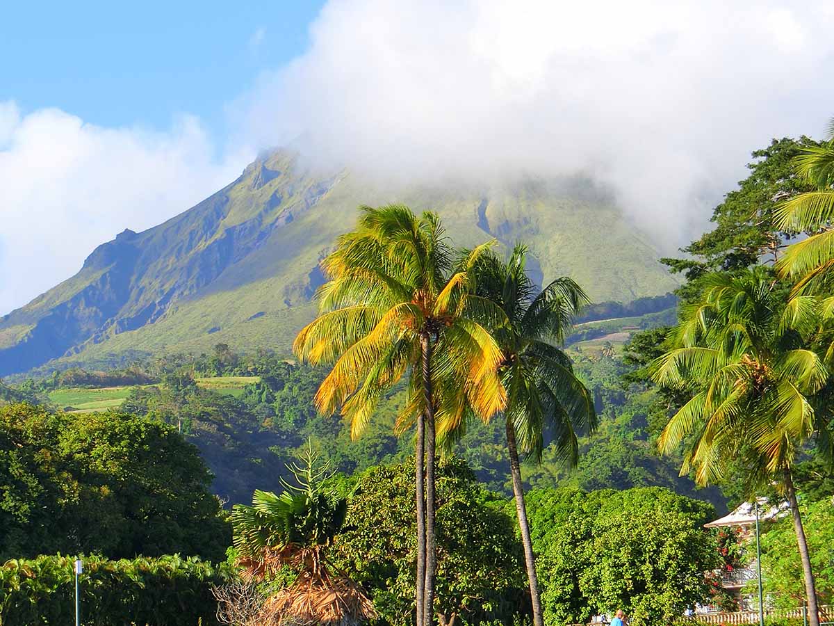 Excursions et découverte de la Martinique